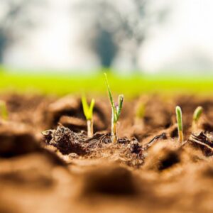Como Expandir Negócios com Plantas no Agro