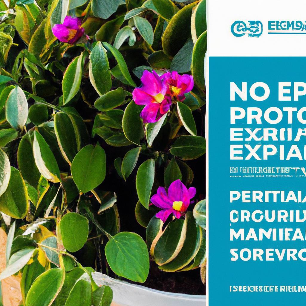Como Usar Plantas em Marketing de Exportação